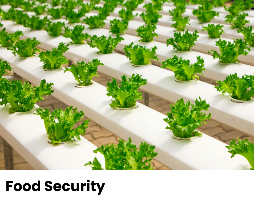 Louken Group_Food Security